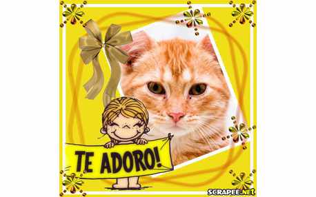 Moldura - Alguem Te Adora