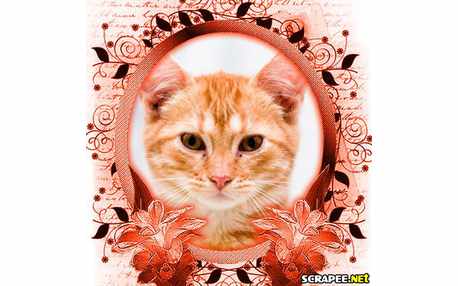 Moldura - Manta Foto Antiga