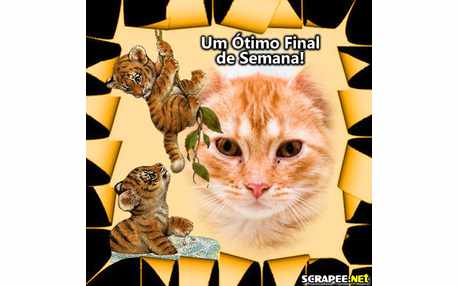 Moldura - Filhotinhos