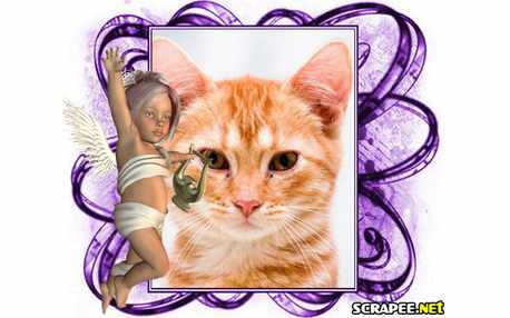 Moldura - Vi Um Anjo