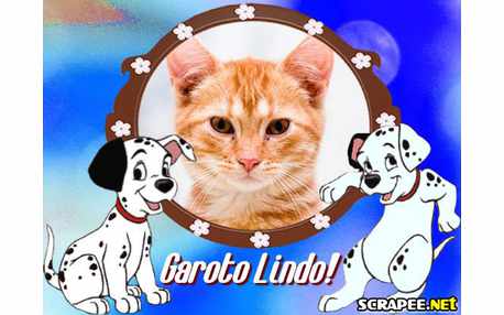 Moldura - Meu Garoto Lindo