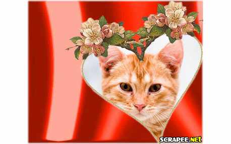 Moldura - My Coracion