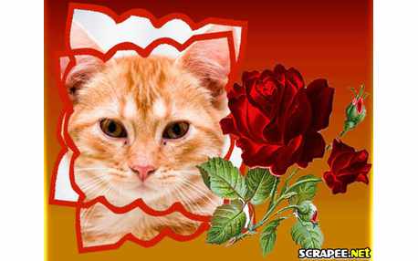 Moldura - Galho De Rosa