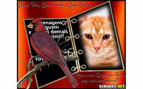 Moldura - Homenagem No Livro