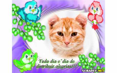 Moldura - Frase De Alegria