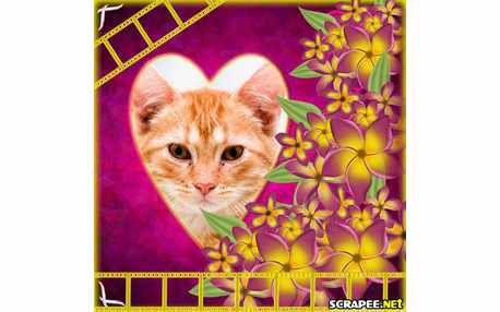 Moldura - Muitissimas Flores