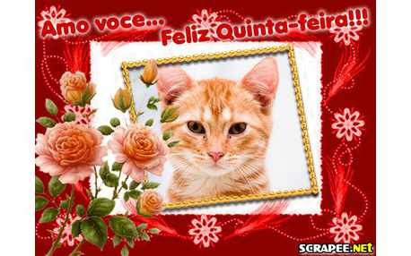 Moldura - Quinta Amorosa