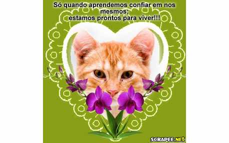 Moldura - Auto Confianca