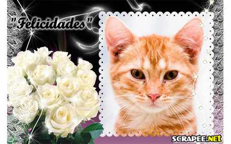 Moldura - Buque Da Noiva