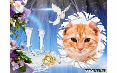 Moldura - Troca De Aliancas