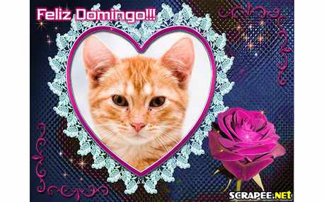 Moldura - Trabalho Com Rendas