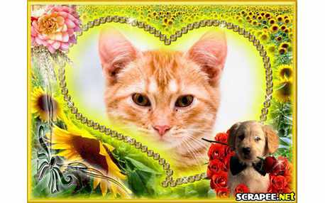 Moldura - Cao Entre Flores