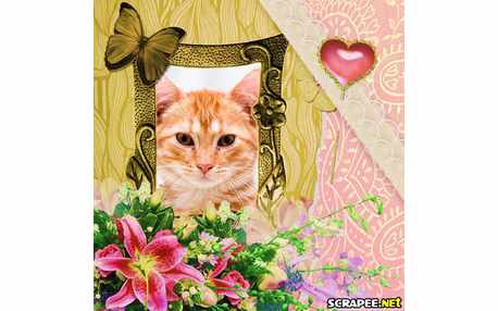 Moldura - Tudo Florido