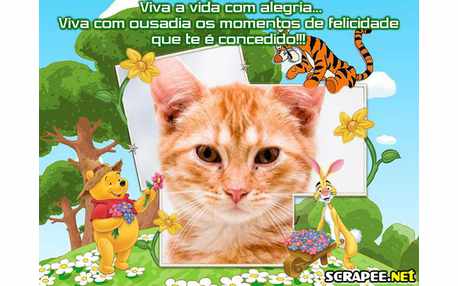 Moldura - Viva Com Entusiasmo