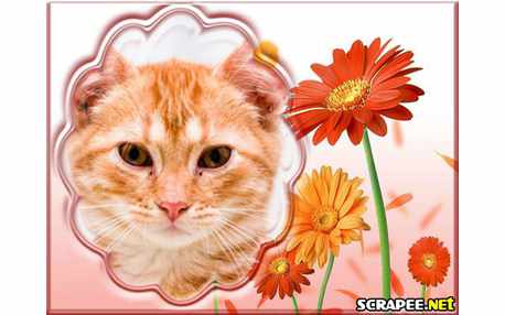 Moldura - Beleza De Flor