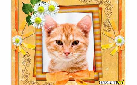 Moldura - Moldura Com Detalhes