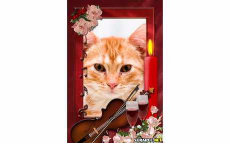 Moldura - Instrumento De Corda