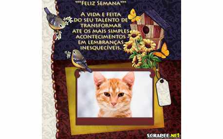 Coloque sua foto na Moldura A Vida E Feita De Escolhas