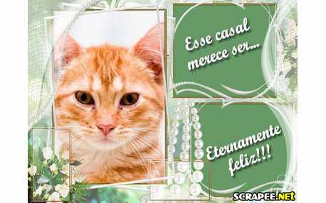 Moldura - Tudo De Bom