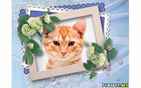 Moldura - Moldura Clarinha