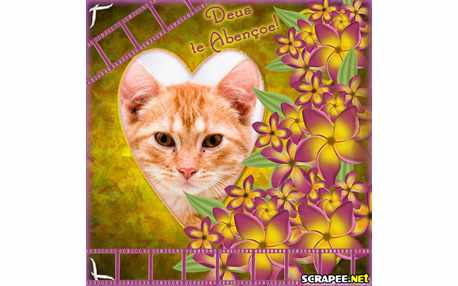 Moldura - Muitissimas Flores