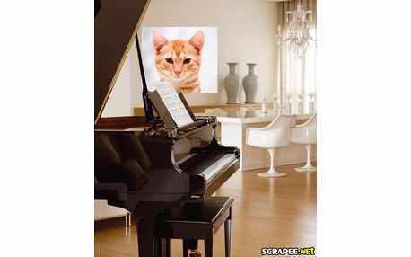 Coloque sua Foto no Piano