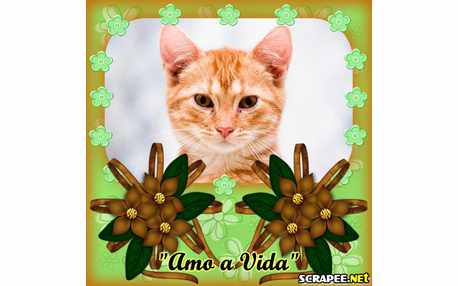 Moldura - Amo A Vida