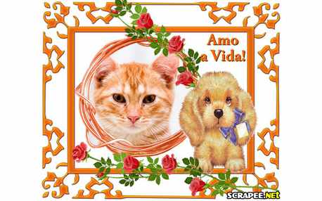 Moldura - Amo Minha Vida