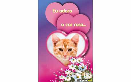 Moldura - Adoro Rosa