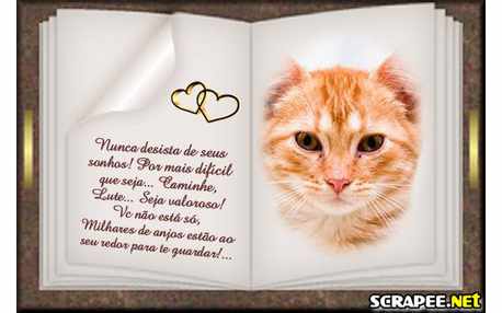 Moldura - Nao Desista