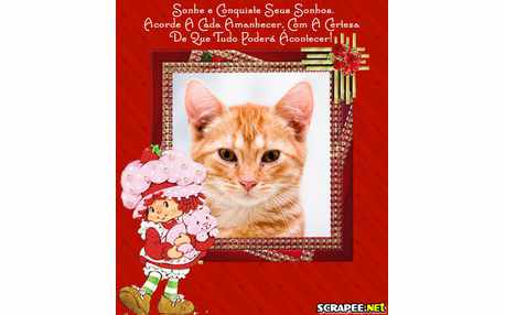 Moldura - Conquiste Seus Sonhos