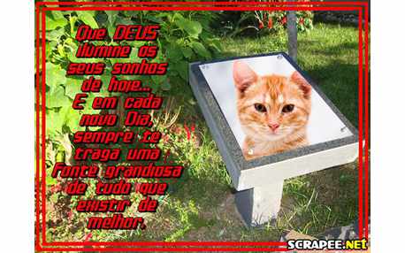 Moldura - Sonho Iluminado