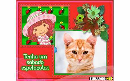 Moldura - Sabado Da Moranginho