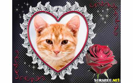 Moldura - Coracao De Renda