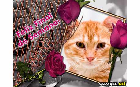 Moldura - Final Semana