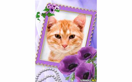 Moldura - Flores Lilas