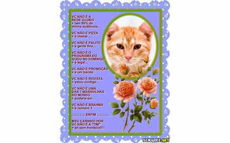 Moldura - Nao E Rede Globo