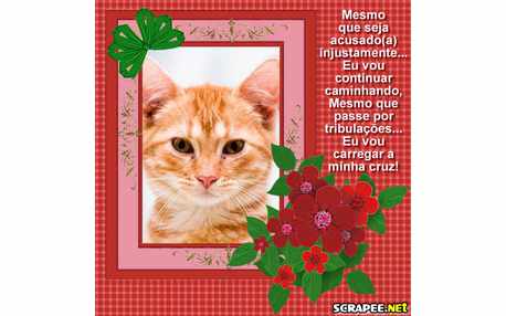 Moldura - Acusado Injustamente