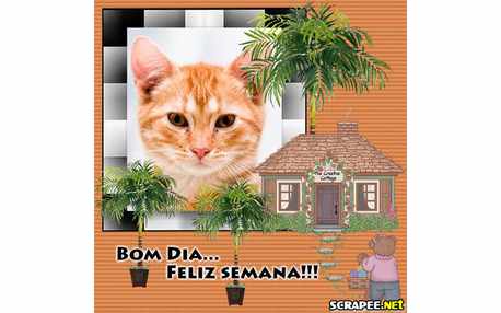 Moldura - Casa De Campo