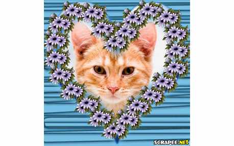 Moldura - Coracao Todo Florido