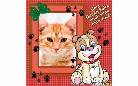 Moldura - Lindissimo Dia