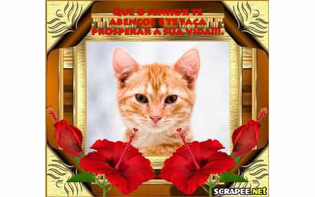 Moldura - Prosperidade