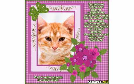 Moldura - Te Declaro Especial