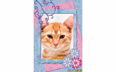 Moldura - Sua Foto Linda