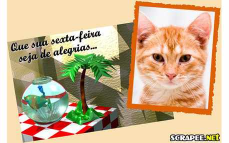 Moldura - Muita Alegria