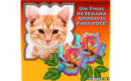 Moldura - Rosas Cintilantes