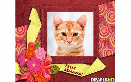 Moldura - Semana Boa