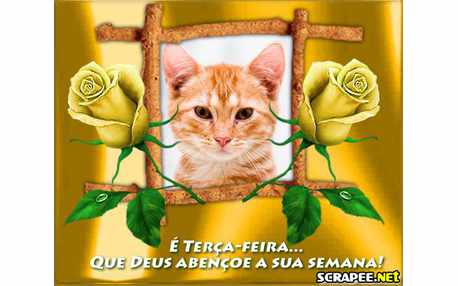 Moldura - Bencaos Na Terca