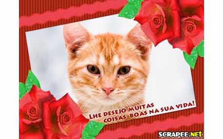 Moldura - Montao De Coisas