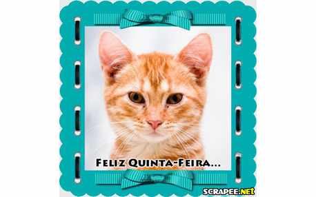 Moldura - Frame Azul